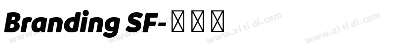 Branding SF字体转换